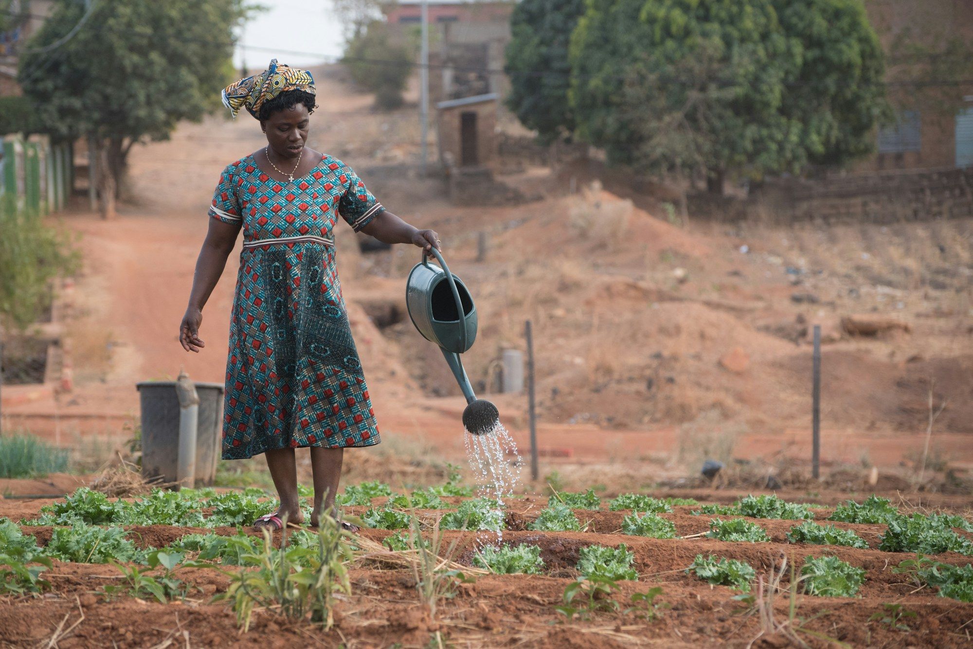 Une femme arrose les jeunes plants d’un jardin maraîcher au Bénin.